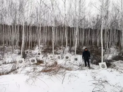 《自然美术馆之大兴安岭》王华明