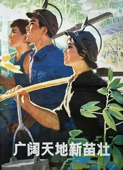 《广阔天地新苗壮》作品高清图