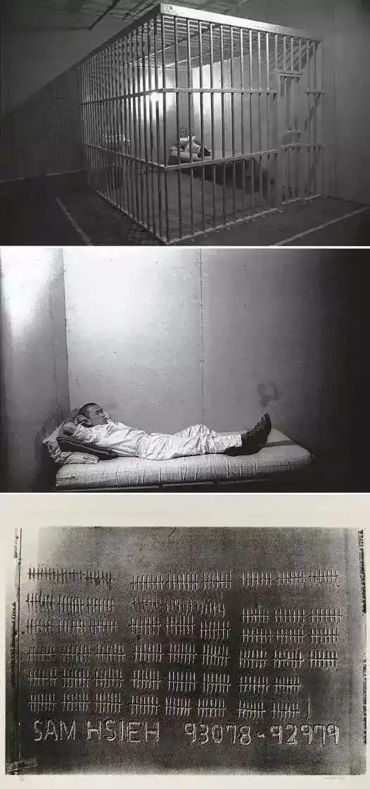 《笼子》谢德庆