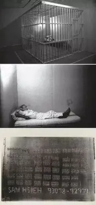 《笼子》谢德庆