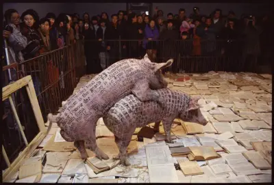 《一个转换案例的研究》徐冰