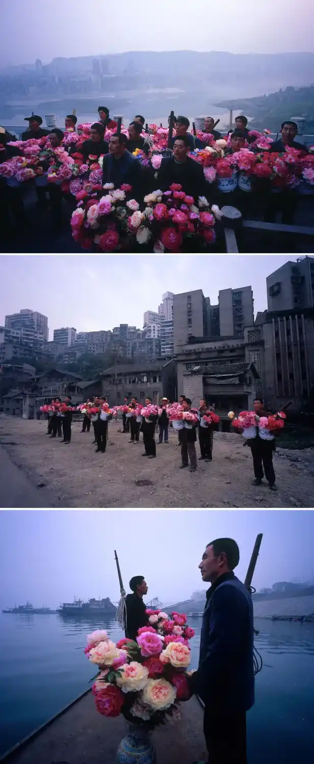 《花园》陈秋林