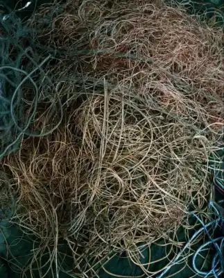 《绝缘1》邢丹文
