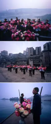 《花园》陈秋林