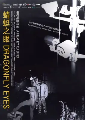 《蜻蜓之眼》徐冰